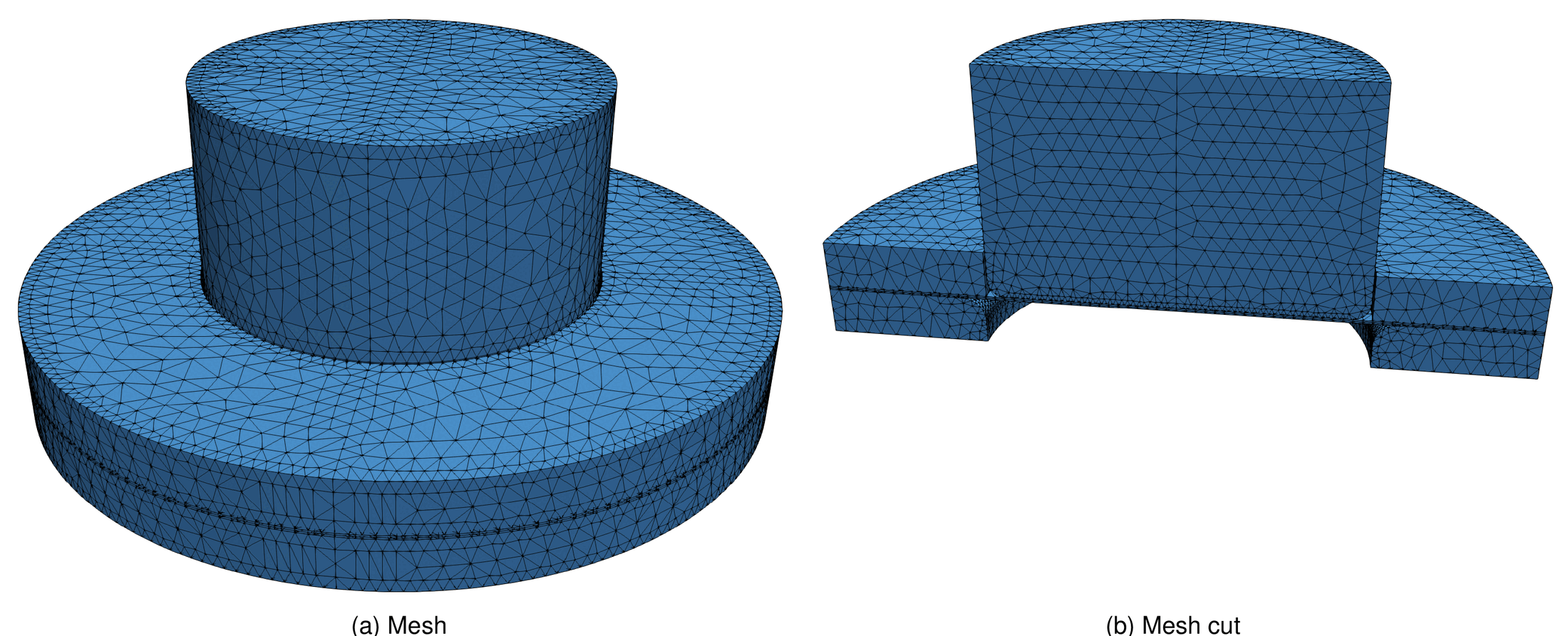 Mesh of the cylinder punch case